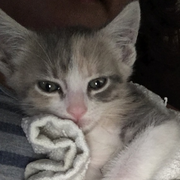 Meet your Posher, Maria - Picture 4 of 6